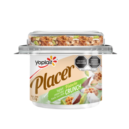 Imagen de YOPLAIT PLACER PISTACHE 125 G