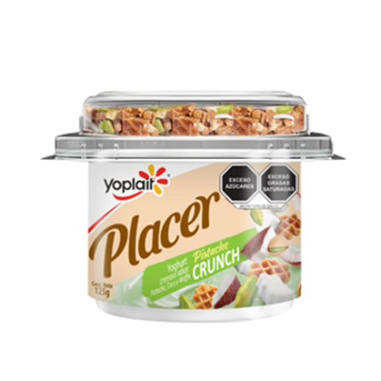 Imagen de YOPLAIT PLACER PISTACHE 125 G