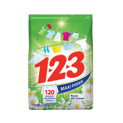 Imagen de DETERGENTE 123 ROCIO DEL CAMPO 900 G